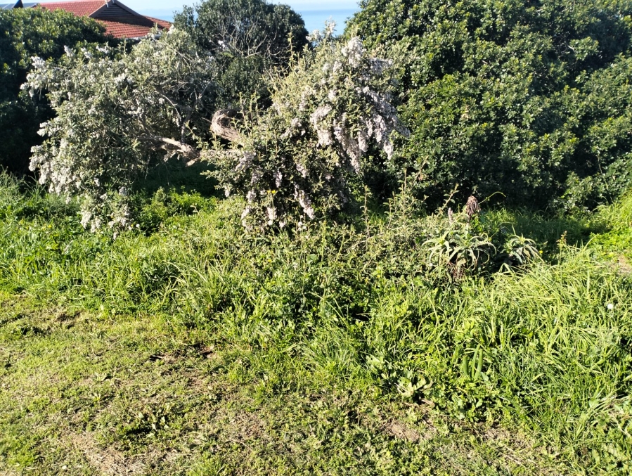 Commercial Property for Sale in Tergniet Western Cape